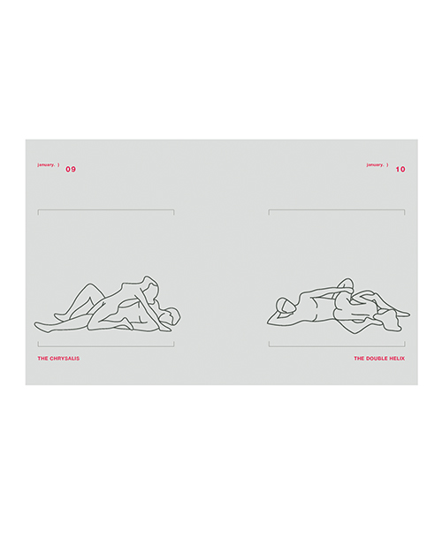 Thumbnail for Position of the Day Sex Every Day in Every Way Book Revised and Updated