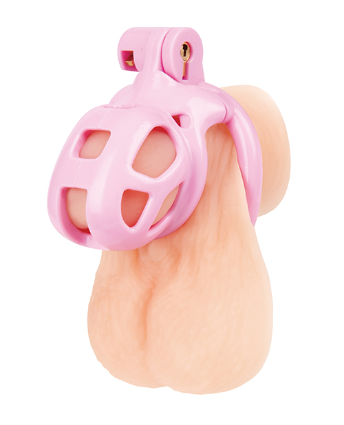 Thumbnail for Small Pink Humiliation Acrylic Prisoner Cock Cage