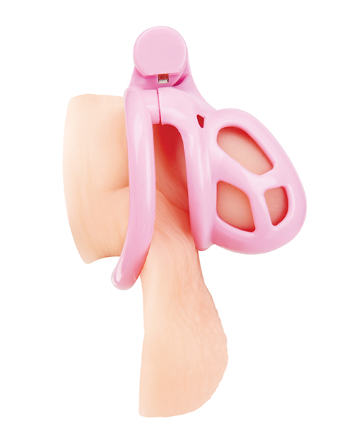 Thumbnail for Small Pink Humiliation Acrylic Prisoner Cock Cage