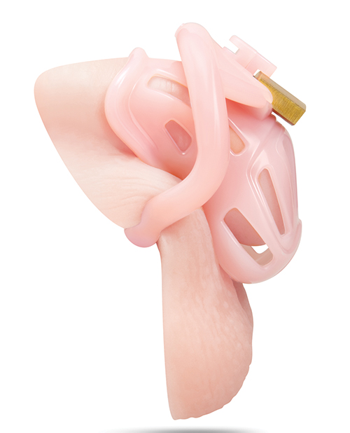 Thumbnail for Degrading Bitchboy Pink Mini Cock Sissy Boy Chastity Cage