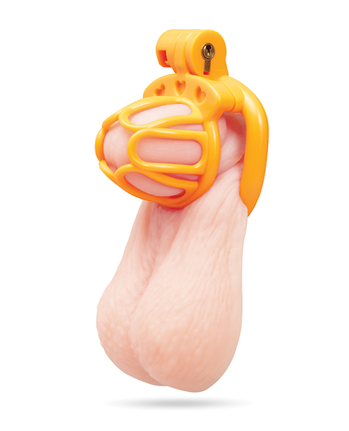 Thumbnail for Fenced-In Inmate Mini Cock Chastity Case