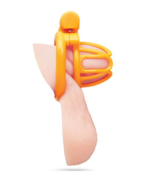 Thumbnail for Fenced-In Inmate Mini Cock Chastity Case