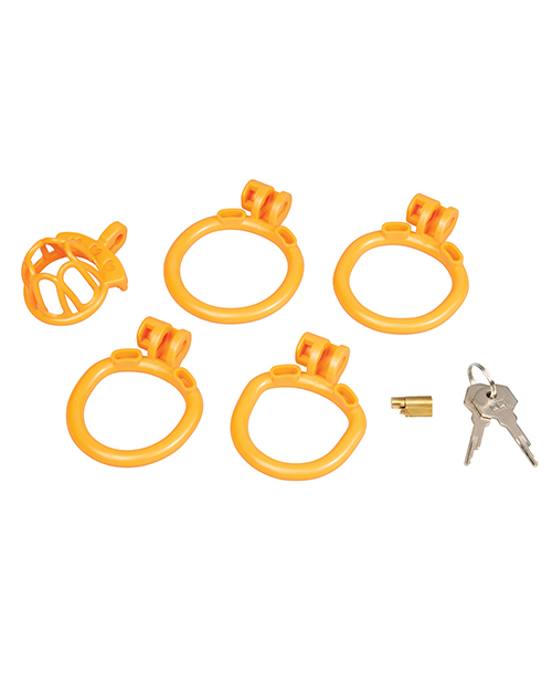 Thumbnail for Fenced-In Inmate Mini Cock Chastity Case