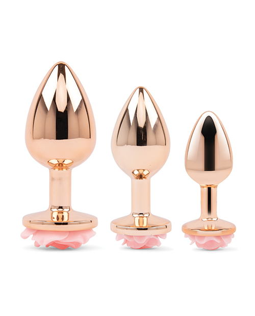 Thumbnail for Gemsations 3 pc 2.75&quot; &amp; 3.15&quot; &amp; 3.7&quot; Rose Metal Butt Plug Training Set - Rose Gold