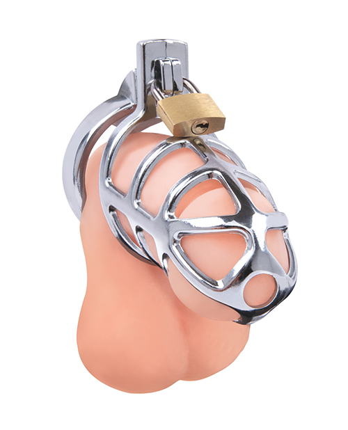 Thumbnail for Lockmaster 3.75&quot; Stainless Steel Prisoner Cock Cage - Silver