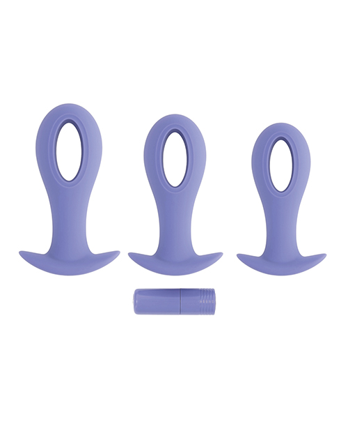 Thumbnail for Evolved Hole Punch Anal Plug Set - Purple Set of 3