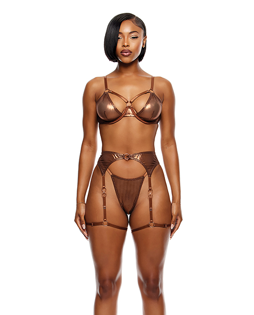 Liquid Metal Metallic Mesh Underwire Bra w/Garter Belt &amp; G-String 3 pc Set - Metallic Copper SM