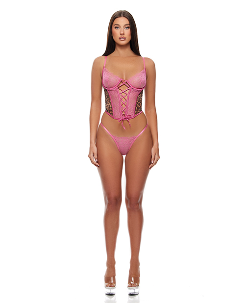 Animal Instincts Mesh Bustier &amp; Panty 2 pc Set - Pink Leopard XL