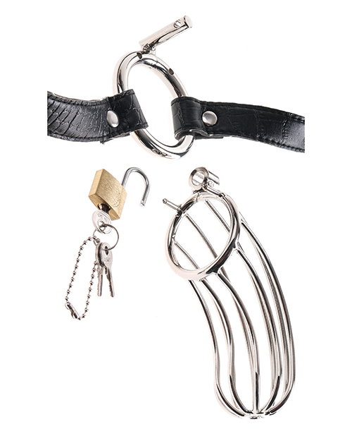 Thumbnail for Fetish Fantasy Extreme The Prisoner Metal Cock Cage