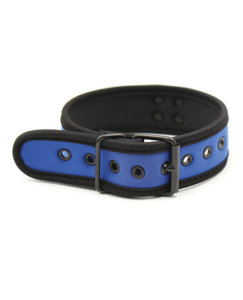 Thumbnail for Plesur Neoprene Puppy Collar - Blue
