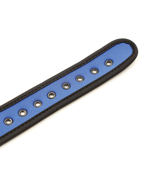 Thumbnail for Plesur Neoprene Puppy Collar - Blue