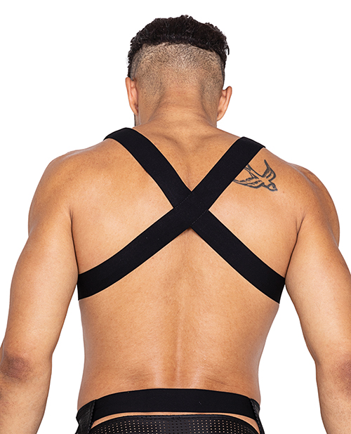 Thumbnail for Master Harness w/Hook & Ring Closure Black MD