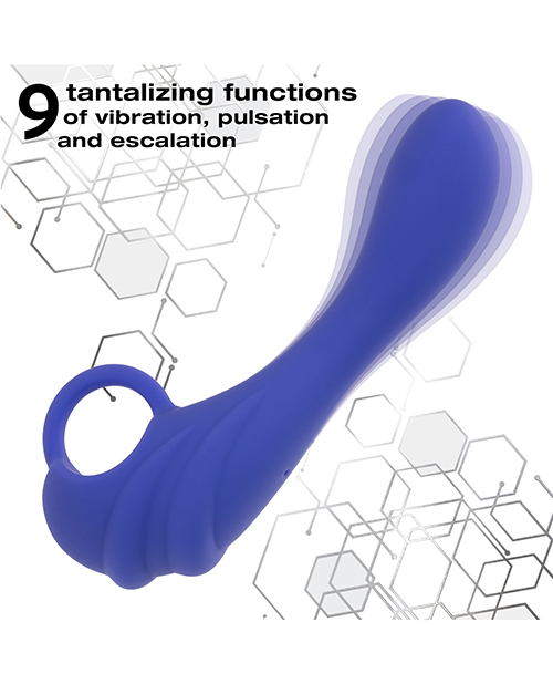 Thumbnail for Calexotics Connect Explorer