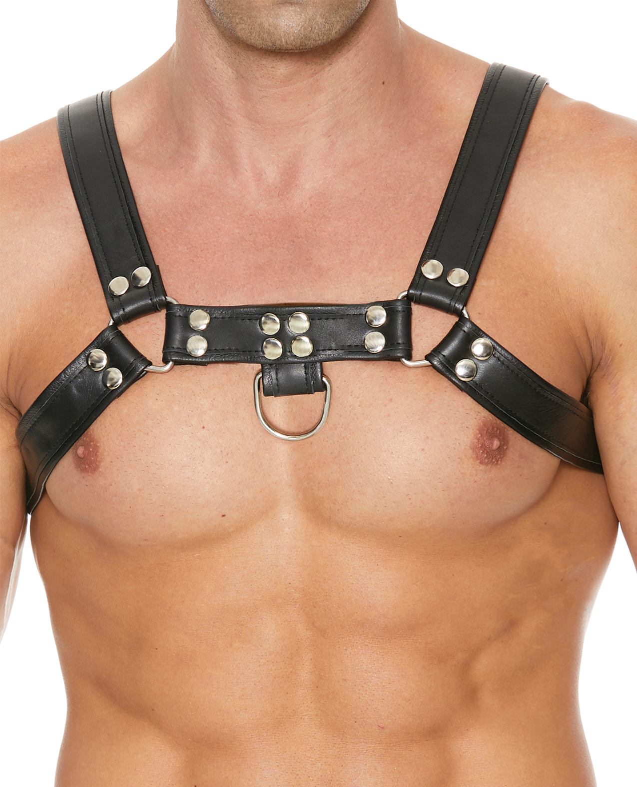 Thumbnail for Shots Uomo Chest Bulldog Harness Large/XLarge - Black