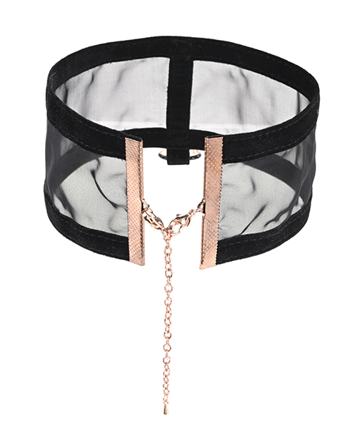 Thumbnail for Sex &amp; Mischief Sheer Day Collar