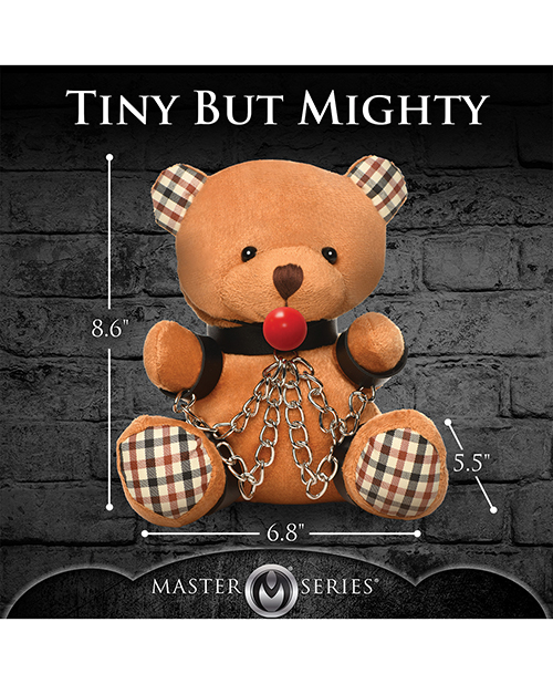 Thumbnail for Master Series Gagged Teddy Bear Plush