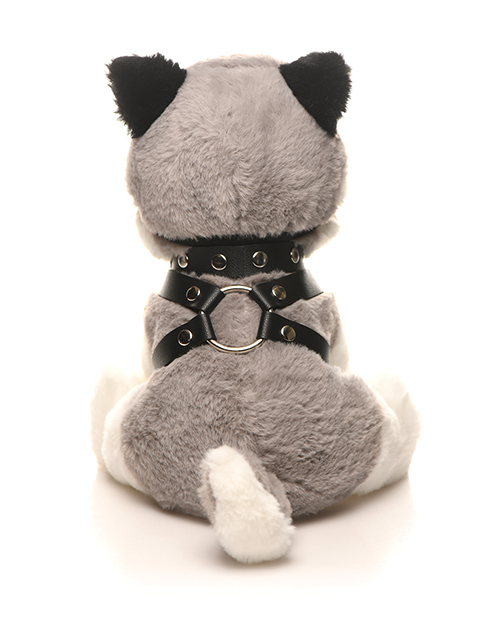 Thumbnail for Master Series Max the Fetish Pup