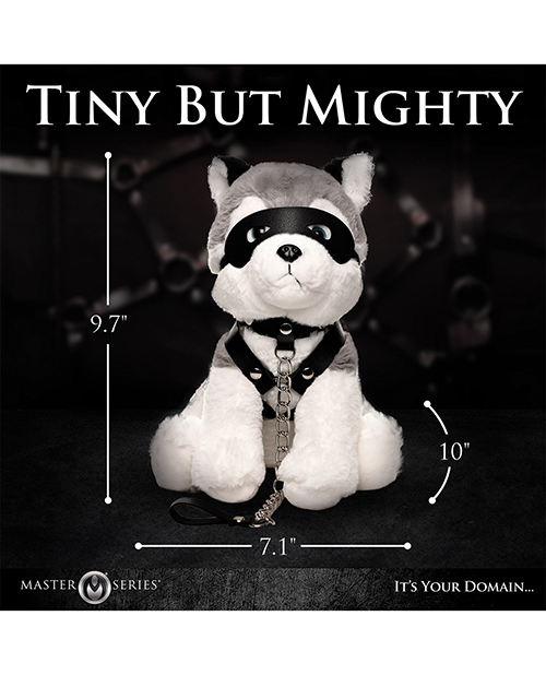 Thumbnail for Master Series Max the Fetish Pup
