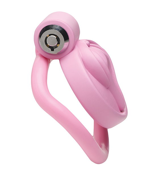 Thumbnail for Master Series Pussification Vulva Locking Chastity Cage - Pink